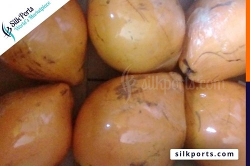පොල් හා තැඹිලි අපනයනය ඉහළ නැංවීමට සැලසුම් Sri Lanka to increase Coconut and King Coconut export silkports.com Market Watch