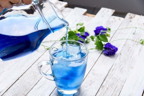 Butterfly Pea | Blue Pea Tea
