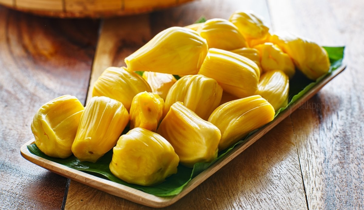 Jackfruit Powder Benefits, Uses, Products, And How To Buy