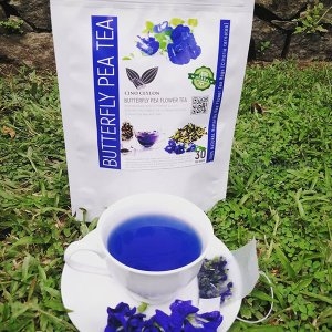 100% NATURAL Butterfly Pea Flower 30 Sachets (Clitoria ternatea)