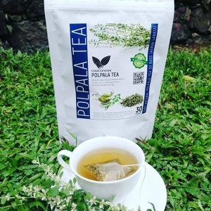 Polpala Aerva lanata 30 Herbal Tea Bags Kidneys Cleanse Tea