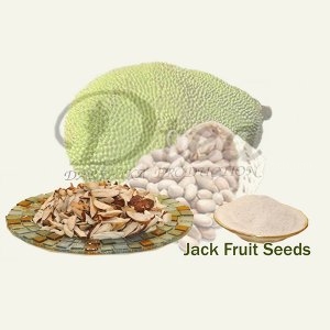 Jackfruit seeds Flour