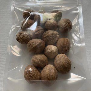 Ceylon Nutmeg / Spices