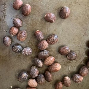 Ceylon Nutmeg / Spices