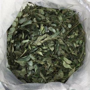 Curry Leaves / Spices