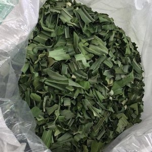 Ceylon Pandan / Spices