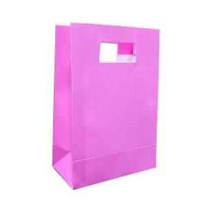 Cut  Handle Bag (Small) / Paper bag