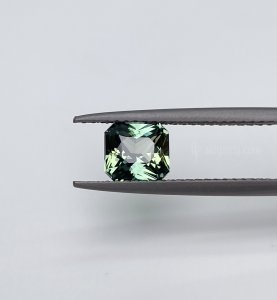 1.25 carat party Sapphire