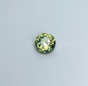 1.67 carat Party Sapphire