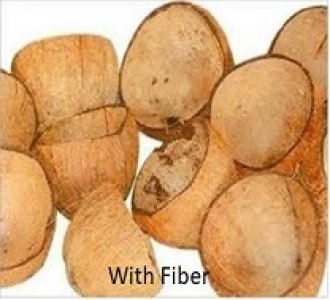 Raw Coconut Shells | Crafts