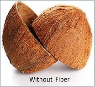 Raw Coconut Shells | Crafts