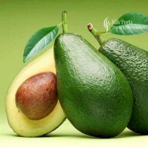 Gateway Agro Fresh Fruit Avacado