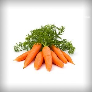 Gateway Agro Fresh Vegetable Carrot