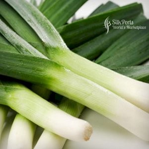 Gateway Agro Fresh Vegetable Leeks
