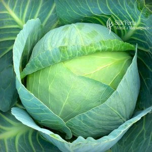 Gateway Agro Fresh Fruit Cabbage