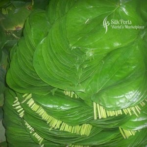 Gateway Agro Fresh Vegetable Betel Leaf