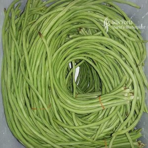 Purchasing Lanka Fresh Vegetable Long Beans