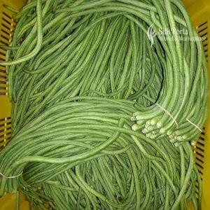 Purchasing Lanka Fresh Vegetable Long Beans
