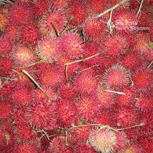 Purchasing Lanka Fresh Fruit Rambutan