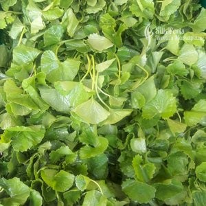 Purchasing Lanka Fresh Vegetable Gotukola Vallara