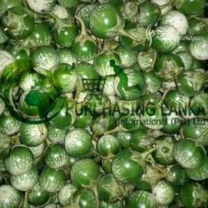 Purchasing Lanka Fresh Vegetable Thai Egg Plant Elabatu