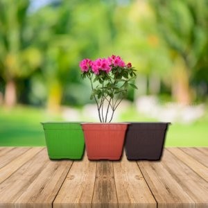 10CM Square Flower pot